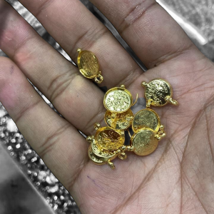 Regular Laxmi Coin (Micro Polish)